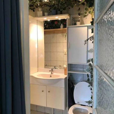 Zeezucht 布兰肯贝赫