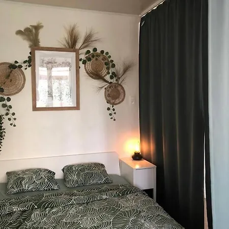 Zeezucht 布兰肯贝赫