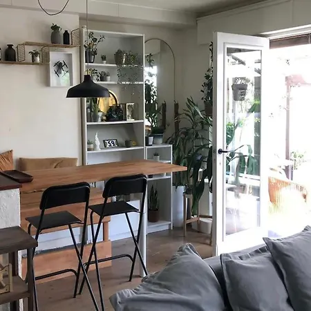 公寓 Zeezucht 布兰肯贝赫