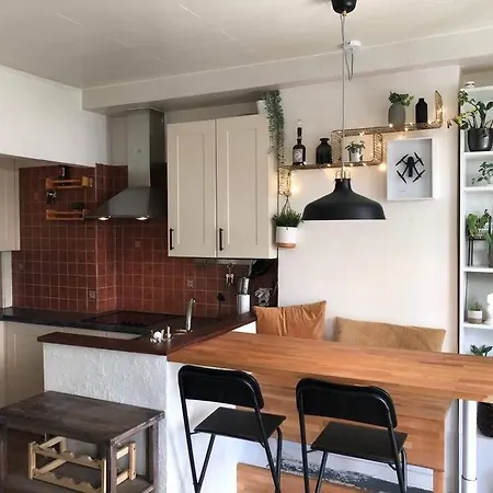 Zeezucht 布兰肯贝赫