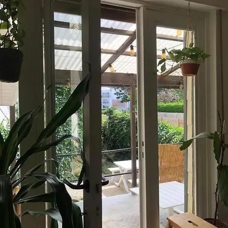 Zeezucht Blankenberge